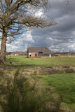 Fototapeta  - Newly build colony house. Koloniehuisje. Maatschappij van Weldadigheid Frederiksoord Drenthe Netherlands. 