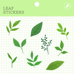 Poster - Leaf stickers package vector
