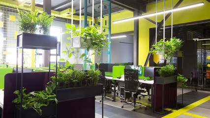 Poster - Modern natural office interior with green plants and computers