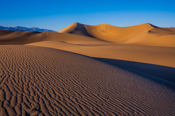 Poster -  The sand lies in light waves