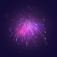Wall Mural - multicolored vector fireworks, explosion of joy in the sky