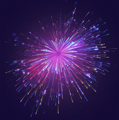 Wall Mural - multicolored vector fireworks, explosion of joy in the sky