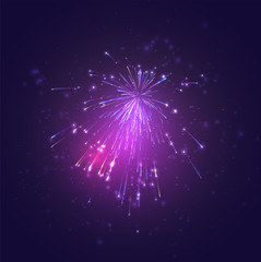 Wall Mural - multicolored vector fireworks, explosion of joy in the sky