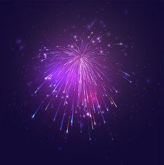 Wall Mural - multicolored vector fireworks, explosion of joy in the sky