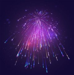 Wall Mural - multicolored vector fireworks, explosion of joy in the sky
