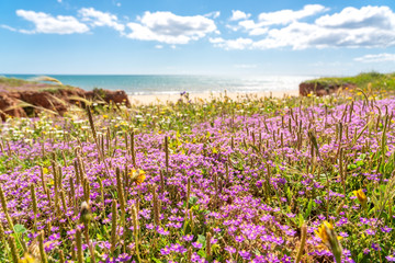 Wall Mural - Amazing seascape of meadows of beaches, with a backdrop to the Atlantic Sea of Portugal. Falesia, Albufeira. The background is blurred.