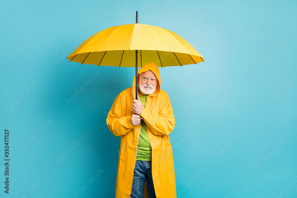 Portrait of his he irritated annoyed grey-haired man wearing yellow overcoat hiding under parasol bad cold wet weather cyclone isolated over bright vivid shine vibrant blue color background - obrazy, fototapety, plakaty 