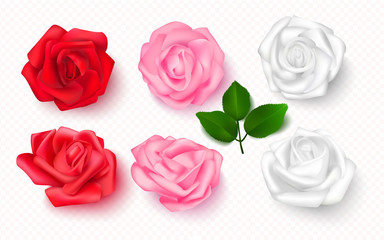 Fototapete - Set of rose buds on a transparent background. 3D flowers for cards, banners, invitations. Vector illustration.