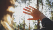 © Kyrylo Ryzhov - Closeup photo of sun shining through female fingers and hands in the forest