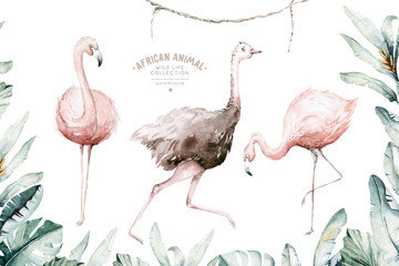 Hand drawn watercolor tropical flamingo and ostrich birdt of African flamingos. Exotic rose bird illustrations, jungle tree, brazil trendy art. Perfect for fabric design.