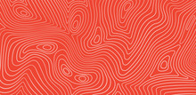 Salmon Fillet Texture, Fish Pattern. Vector Background With Stripes Salmon