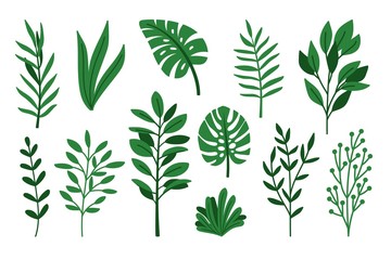 Wall Mural - palm green leaves vectors on white. monstera and palms leaf set isolated colored images, madagascar 