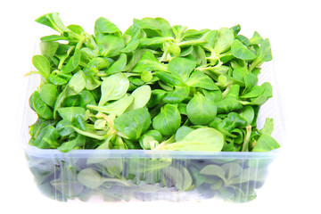 Wall Mural - Lamb's lettuce isolated