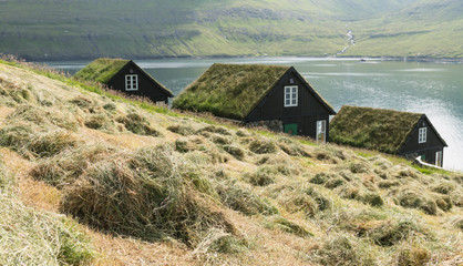 Wall Mural - Picturesque view of tradicional faroese grass-covered houses in the village Bour during autumn. Vagar island, Faroe Islands, Denmark.