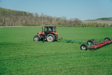 Canvas Print - The tractor is working on a green spring field. Agriculture with cereal crops