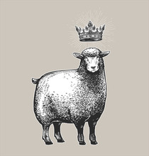 Vector Stylized Illustration Of The Sheep With The Crown Over Her Head And Surprised Fasial Expression. Vector Illustration Of The Queen Sheep In Graphic Style On The White Background.