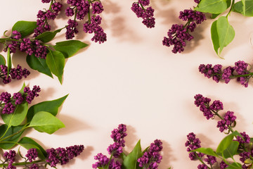  flowering branches of lilac on a pastel background with copy space.