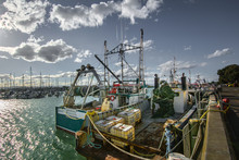 Fishing Trawlers Moored At Harbor In Sea Against Sky