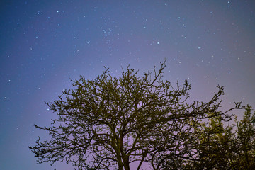 star in the night