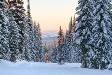 Tourists Riding Snowmobiles In Snow, Sun Peaks Resort, Sun Peaks, British Columbia, Canada