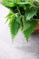 Wall Mural - Green nettle leaves in wooden pot on grey background. Alternative herbal medicine. Stinging nettles, urtica. Skin allergy care