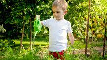 Portrait Of Cute Little Boy With Watering Can In Garden