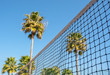 Conceptual sporty view tennis net on palm tree background.