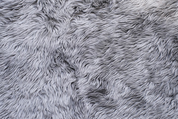Close view long hair grey carpet rug texture 