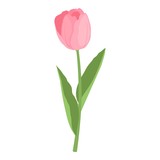 Fototapeta Tulipany - Tulip flower icon. Cartoon of tulip flower vector icon for web design isolated on white background