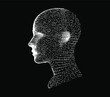 Artificial intelligence and Machine Learning concept. Human head with glitched pixels, distorted profile of a woman made of square particles.