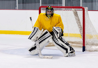 Hockey goalie in action