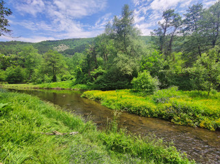 Spring Landscape of Iskar River near Pancharevo lake, Bulgaria