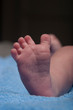 © Kari - newborn baby foot