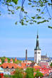 view of the old town of tallinn