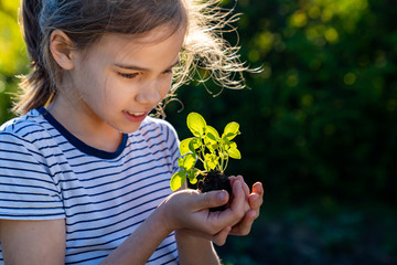 teen girl holding in hands green young plant. little farmer. gardening.