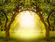 Fantasy apple trees garden with natural arch entrance and sun rays, magical door gates in fabulous green forest, environmental background with empty copy space, way to eco life, summer nature backdrop