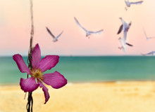 A Burgundy Flower Of Clematis On A Branch Against The Azure Sea Coast. The Atmosphere Of Paradise Relaxation At Sea. 