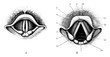 Cavity of larynx through laryngoscope, vintage illustration.