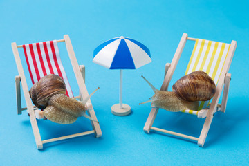 two snails are sitting on two sun loungers, as if resting on the beach, near an umbrella, the concept of summer and travel