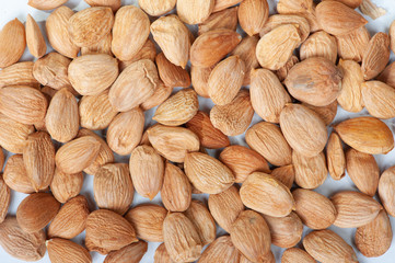 Sticker - Peeled apricot kernels