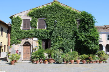 Wall Mural -  house covered with creepers in street of old town near rome italy