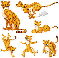 Wall Mural - Set of cheetah cartoon character