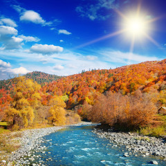 Wall Mural - Bright autumn landscape with bright sun.