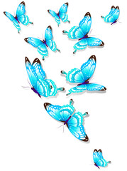 Poster - butterfly637