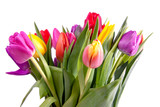 Fototapeta Tulipany - Bouquet of colorful typical Dutch tulips