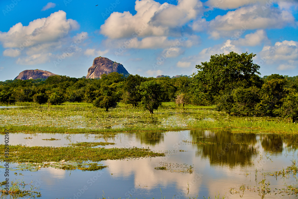 Yala National Park landscape Sri Lanka Ceylon - obrazy, fototapety, plakaty 
