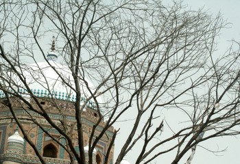 Dead tree branches with mosque view behind