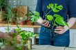 Urban Jungle, Zimmerpflanzen umtopfen oder eintopfen - Interieurtrend mit Topfpflanzen
