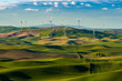 © Myk Crawford - Wind Farm Turbines among wheat fields on the Palouse in Washington State