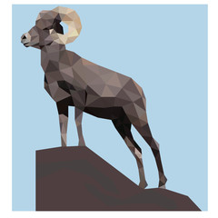 Wall Mural - Low poly illustration of goat